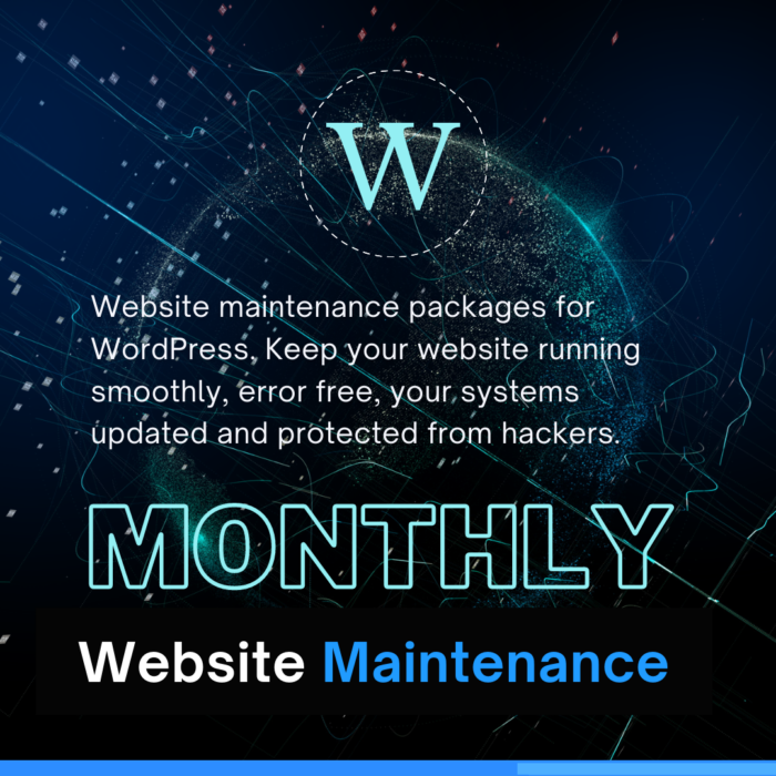 Website Maintenance Plans